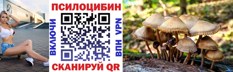 Псилоцибиновые грибы Cubensis  Норильск 
